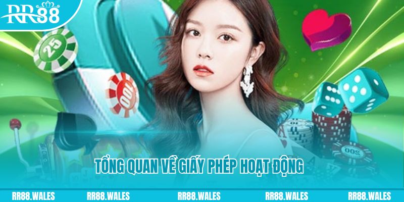 Tổng quan về giấy phép hoạt động của nhà cái RR88